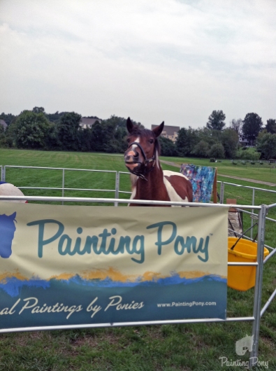 minnow the painting pony